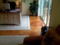 IMG00005 6